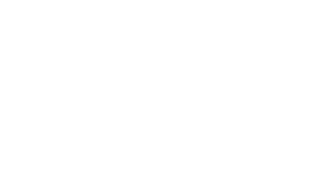 G2C